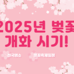 2025 벚꽃 개화 시기